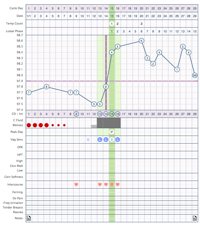 Ovulation on cycle day 14 with 15 day luteal phase